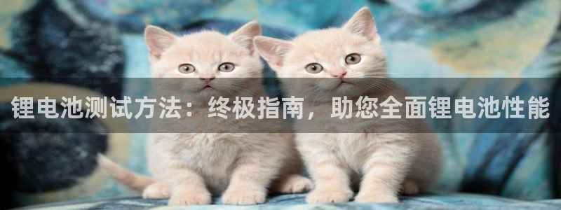 d88尊龙官网登录免费下载