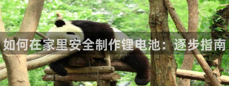 尊龙凯时网站网址