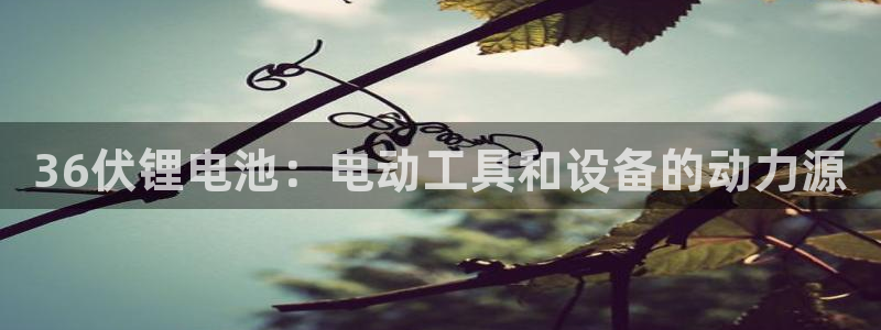 尊龙l1500