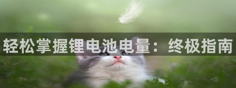 尊龙人生就是博菲律宾台子