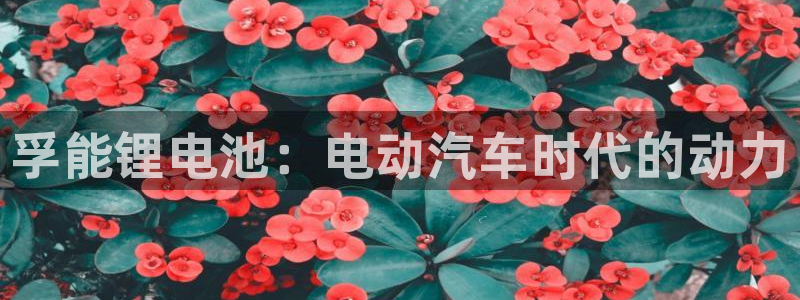 凯时赢来就送38