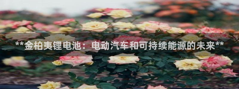 尊龙eight is enough