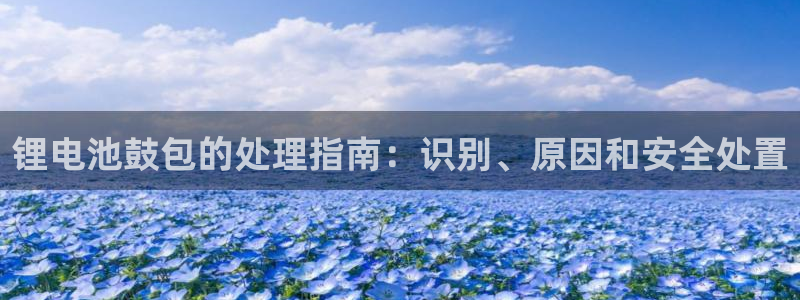 尊龙凯时人生就是博·(中国)官网最新