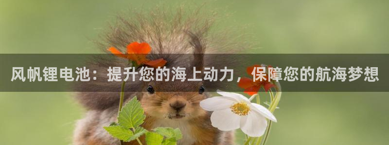 尊龙实业有限公司属于国企吗