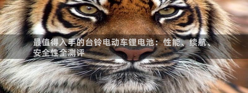 尊龙z6官网ag