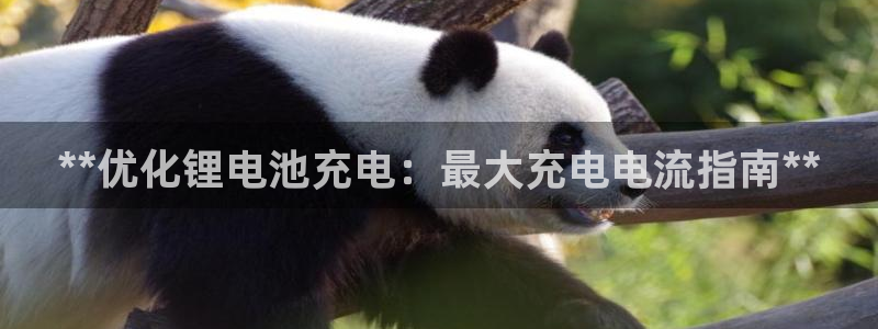 尊龙旗舰厅