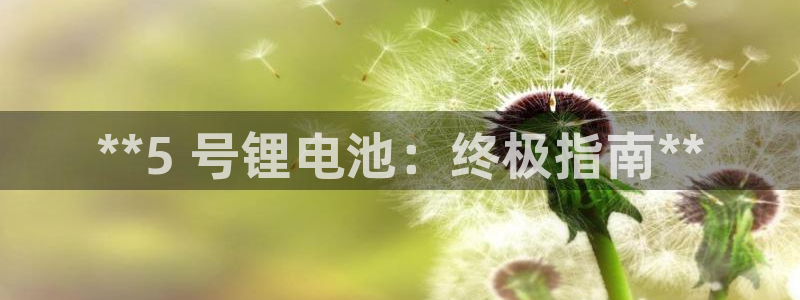 尊龙体育正规么