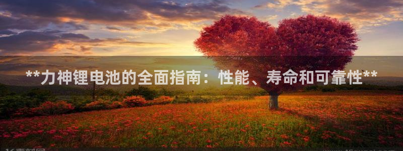 尊龙旗舰厅app