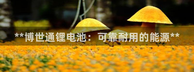 尊龙一人生就是博电子游戏