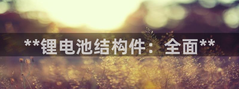 尊龙凯时下载人生就是博