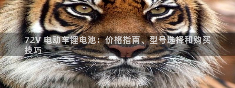 尊龙凯时美金能提取吗