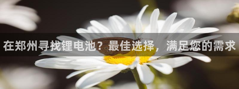 尊龙凯时登入首页