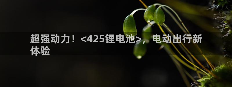 ag旗舰平台尊龙代言
