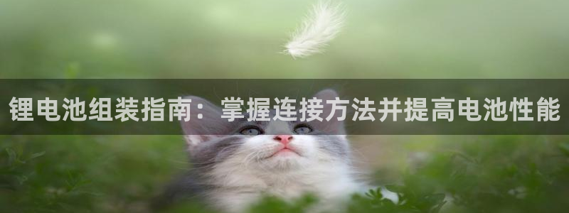 尊龙人生就是博中国区