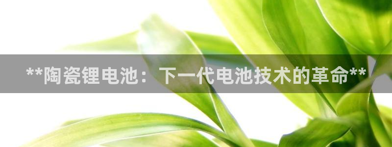 尊龙手机端下载
