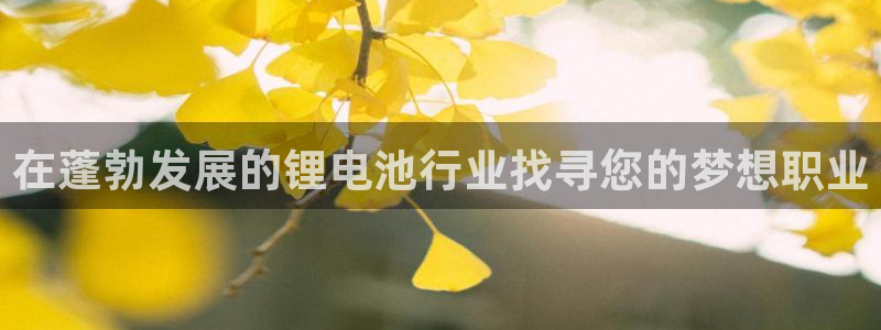 尊龙体育电竞官网
