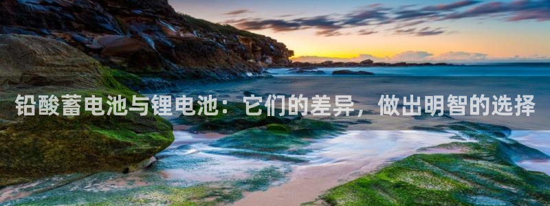 z6com尊龙凯时代理