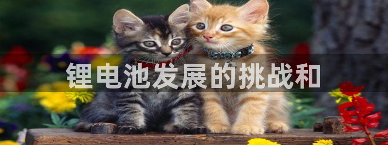 尊龙d88官网准认来就送38