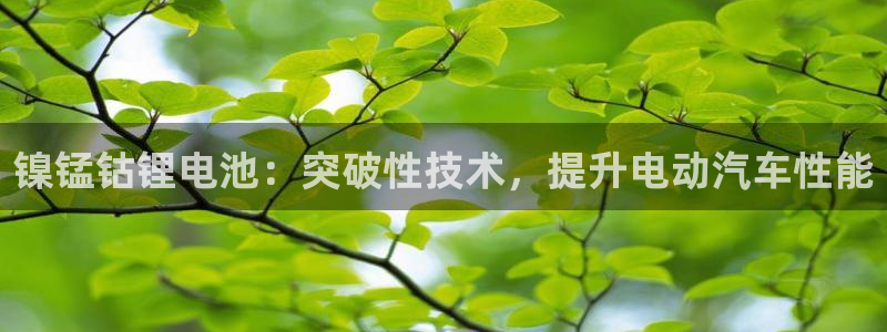 尊龙凯时城娱乐
