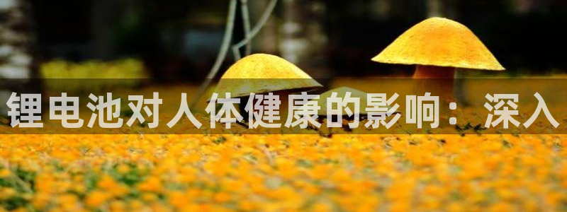 尊龙手机端下载