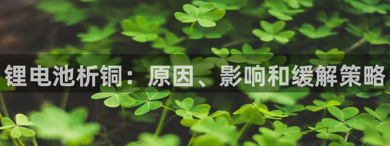 尊龙凯时贴吧