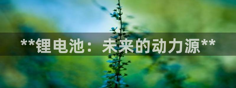 z6尊龙官网平台下载