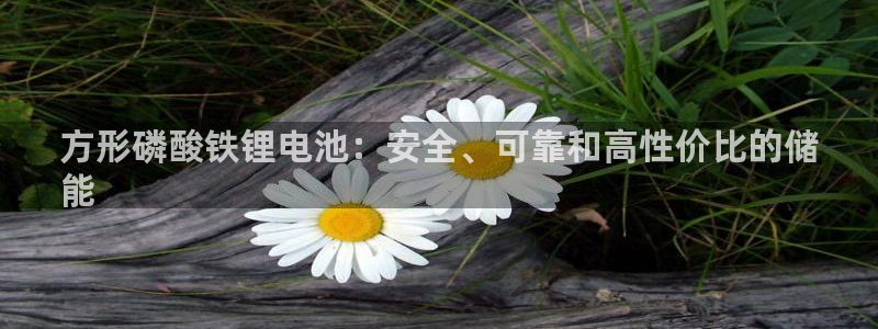 尊龙凯时 人生就是搏!平台