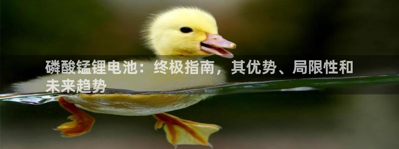 尊龙凯时链接