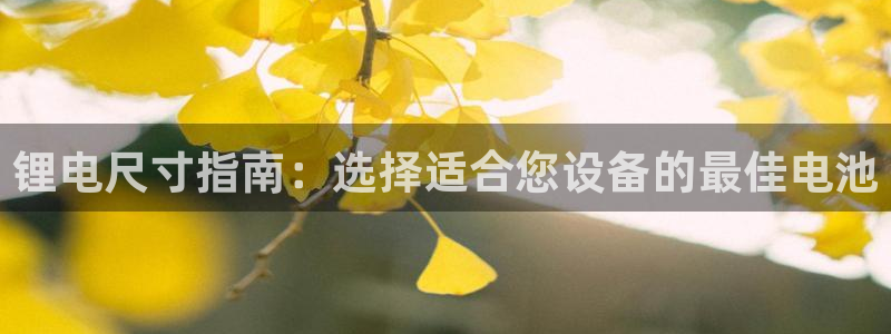 尊龙凯时平台正规吗