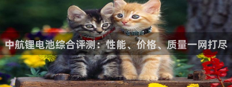 尊龙app最新版本官网