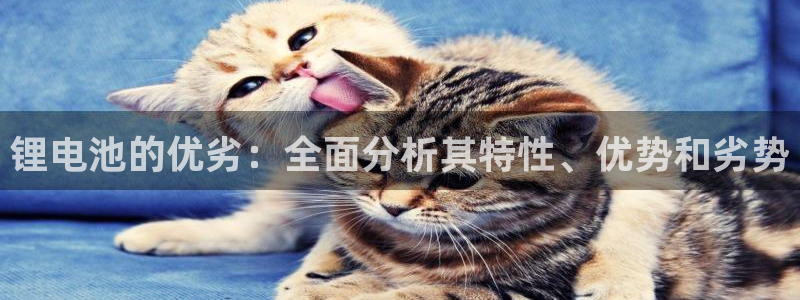 尊龙一人生就是博电子游戏