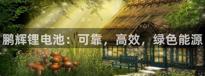 尊龙凯时取款24小时不到账