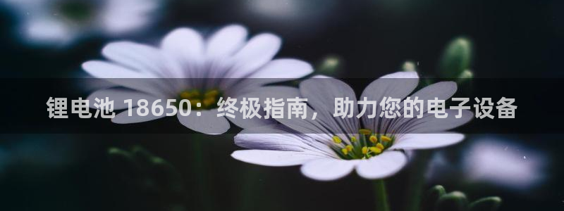 尊龙d88官网新版