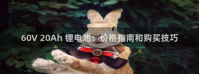 凯时app赢AG发财网来就送38