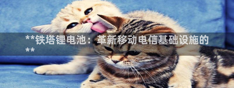 尊龙凯时官方网站下载