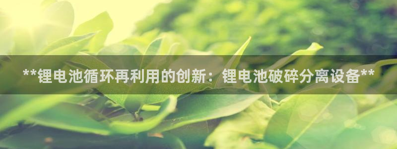 尊龙凯时合法吗?