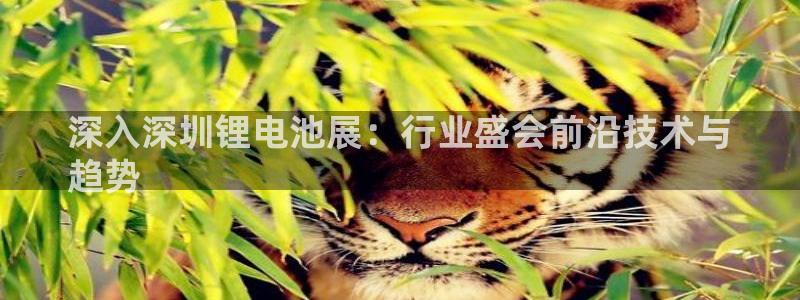 尊龙凯时老板