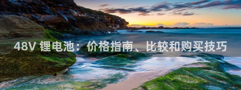 尊龙凯时白家乐Abb下载