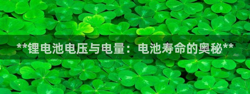 尊龙目前照片