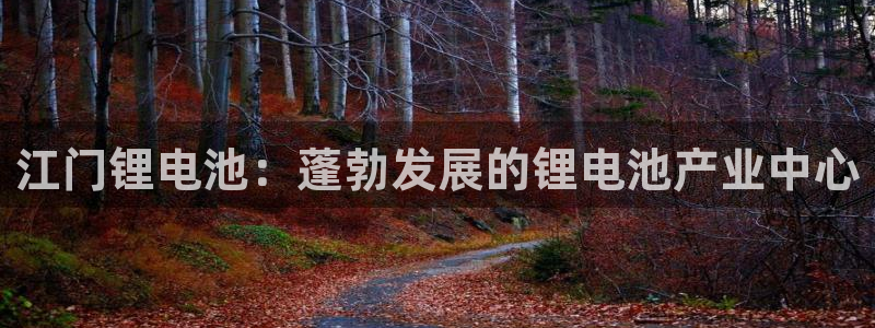 尊龙 下载