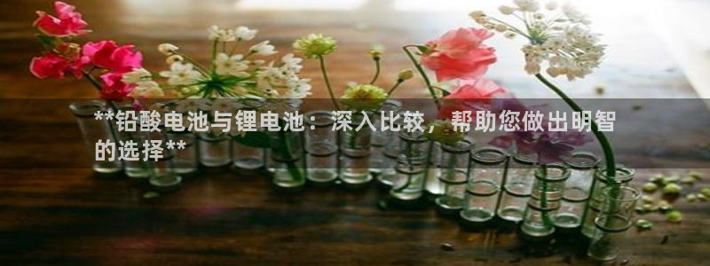 Z6尊龙凯时官方