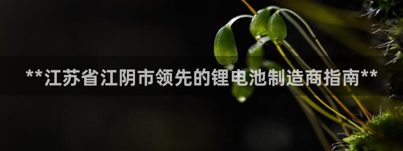 尊龙人生就是傅官网