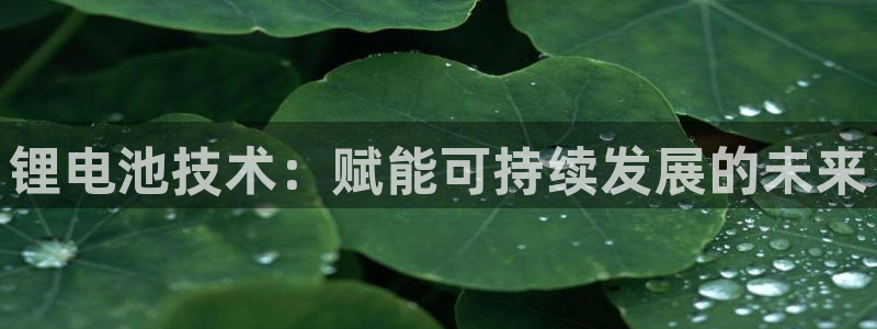 尊龙集团有限公司地址