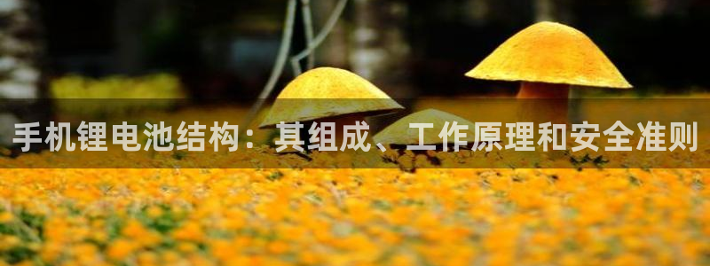 尊龙d88官网确来就送38