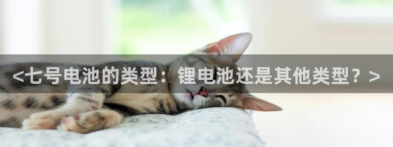 尊龙凯时网