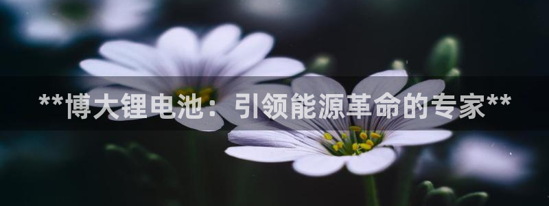 有人在凯时赢过钱吗