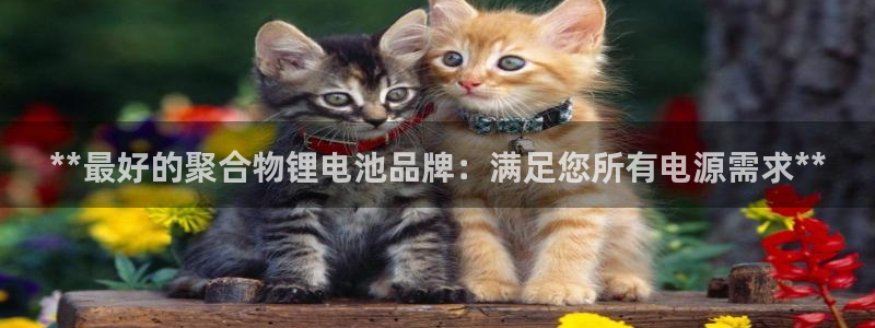 尊龙凯时代理佣金发不发