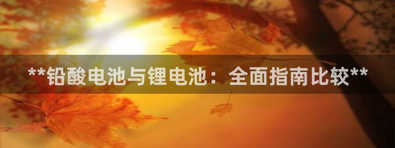 ag尊龙凯时集团