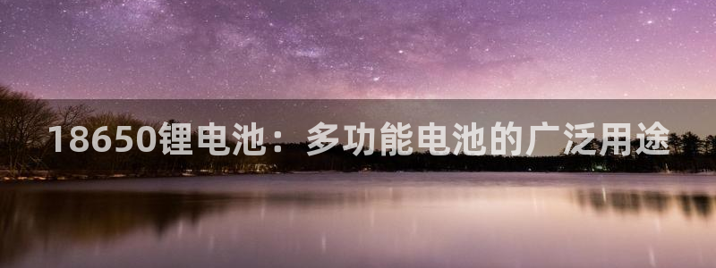 尊龙凯时赞助