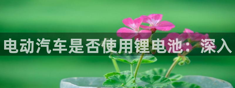 尊龙集团有限公司地址